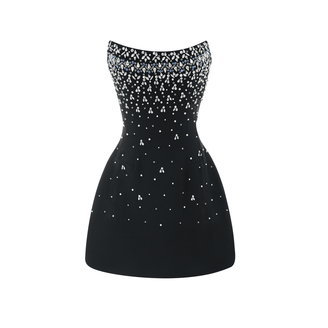 Cassandra Embellished Mini Dress