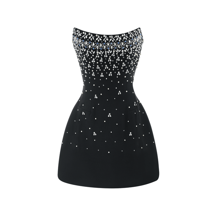Cassandra Embellished Mini Dress